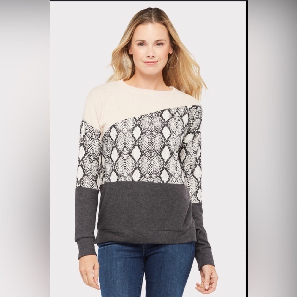 Evereve Allison Joy Theo Snake Colorblock Sweatshirt